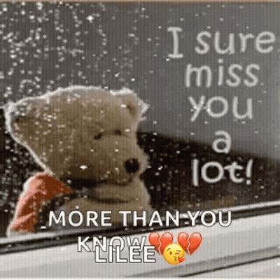 Teddy Bear Sitting With Miss You Message GIF