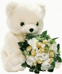 Teddy Bear Sorry White Flowers GIF