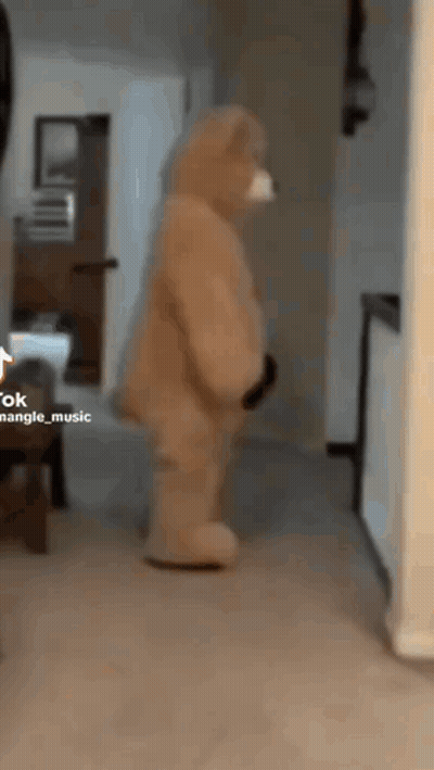 Teddy Bear Standing In Hallway GIF