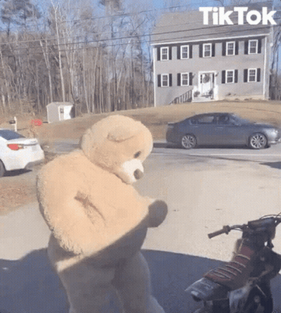 Teddy Bear Standing Next To Motorcycle And Car GIF