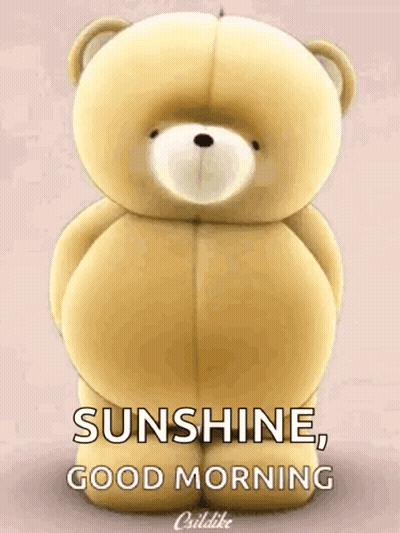 Teddy Bear Sunshine Good Morning GIF