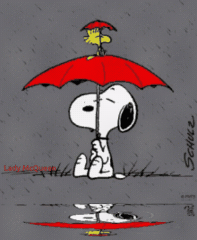 Teddy Bear Under Umbrella Rainy Day Hugs Good Morning GIF