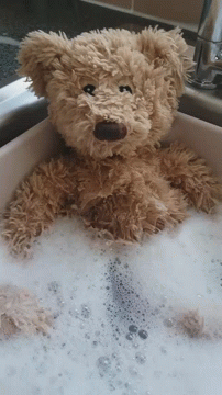 Teddy Bear Washed In Sink With Soap And Water GIF