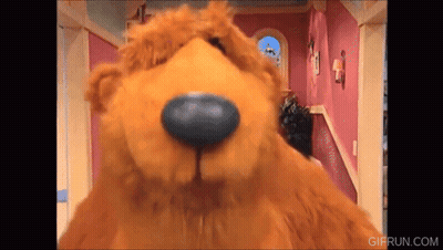 Teddy Bear With Blue Nose In Hallway With Stairs GIF