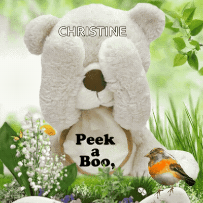 Teddy Bear With Christine Peek A Boo GIF