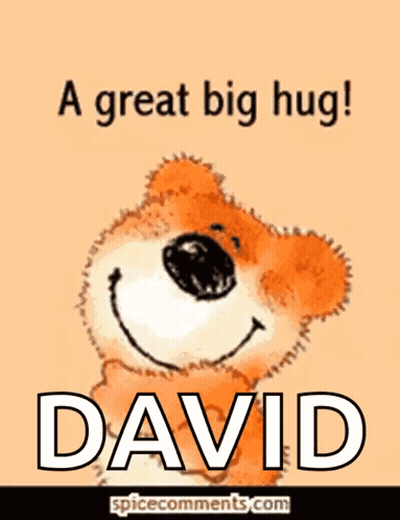Teddy Bear With Name David GIF