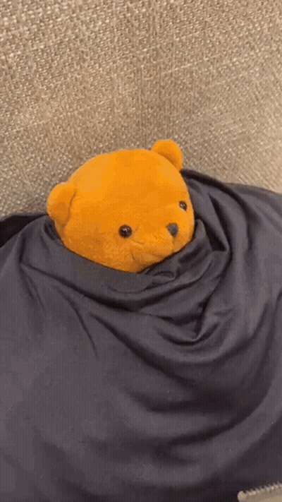 Teddy Bear Wrapped In Black Blanket GIF