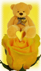 Teddy Bear Yellow Rosas GIF