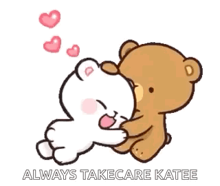 Teddy Bears Hugging Always Take Care Katee GIF