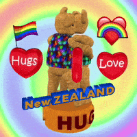Teddy Bears Hugging Hugs New Zealand GIF