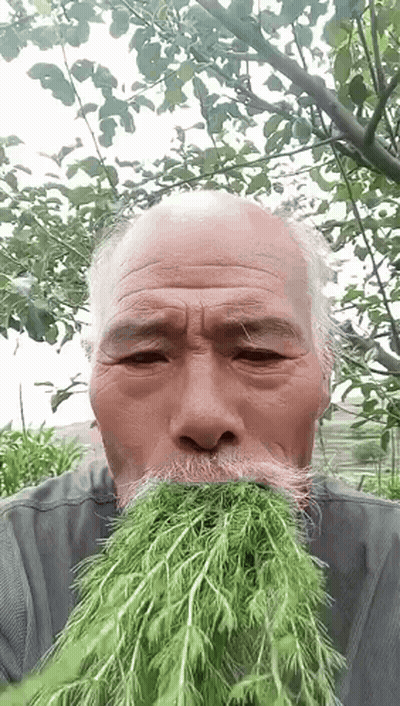Eat GIFs