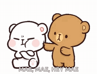Teddy Bears Next To Each Other Saying Mae Mae Hey Mae GIF
