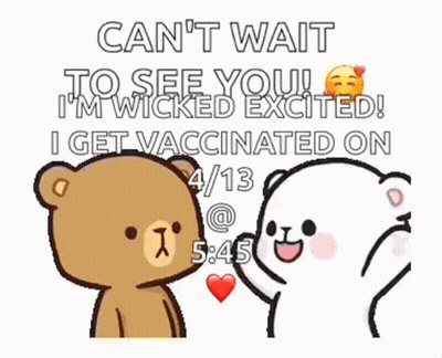 Teddy Bears Talking GIF