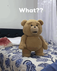 Teddy Ted What GIF