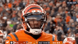 Tee Higgins Scores Another One GIF