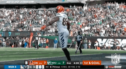 Tee Higgins Touch Down Close Up GIF