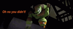Teenage Mutant Ninja Oh No You Didn't  GIF
