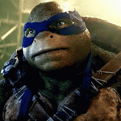 Teenage Mutant Ninja Turtle Crying It's So Beautiful GIF