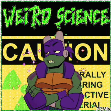 Teenage Mutant Ninja Turtle In Front Of Caution Sign GIF