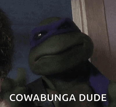 Teenage Mutant Ninja Turtle Laughing Cowabunga Dude GIF