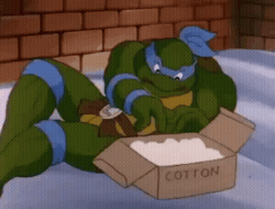 Teenage Mutant Ninja Turtle Looking At Cotton Box GIF