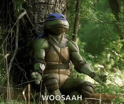 Teenage Mutant Ninja Turtle Saying Woosaah GIF