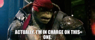 Teenage Mutant Ninja Turtle Says Actually I'm In Charge On This One GIF