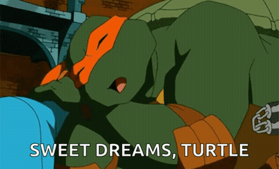 Teenage Mutant Ninja Turtle Sleeping Sweet Dreams Turtle GIF