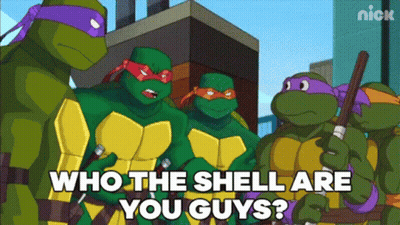 Teenage Mutant Ninja Turtles Asking Who The Shell Are You Guys GIF