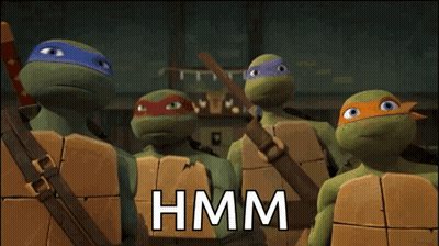Teenage Mutant Ninja Turtles Hmm GIF