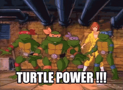 Teenage Mutant Ninja Turtles Turtle Power GIF