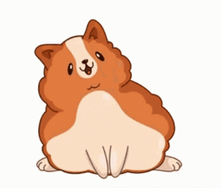 Telegram Cute Dog Head Bob GIF
