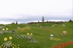 Teletubbies Laa-Laa Playing Peek A Boo GIF