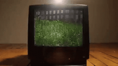 Television On Wooden Floor Showing Grass Field GIF