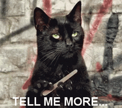 Tell Me More Black Cat GIF