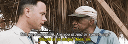 Tell Me Something Stupid Is As Stupid Does GIF