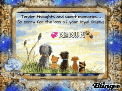 Tender Thoughts And Sweet Memories So Sorry For The Loss Of Your Loyal Friend Rerun ' GIF