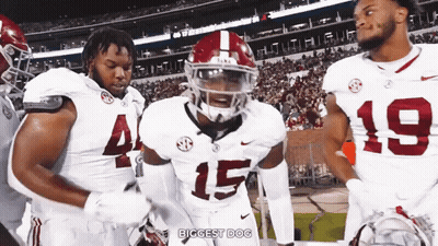 Tennessee Titans Vs Denver Broncos Football Game GIF