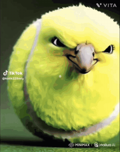 Tennis Ball Bird On TikTok GIF