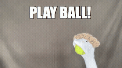 Tennis Ball Thrown In Air Saying Play Ball GIF