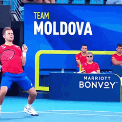 Tennis Moldova Radu Albot Sports GIF