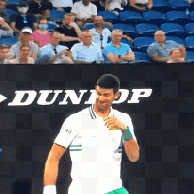 Tennis Player In Front Of Dunlop Ad GIF