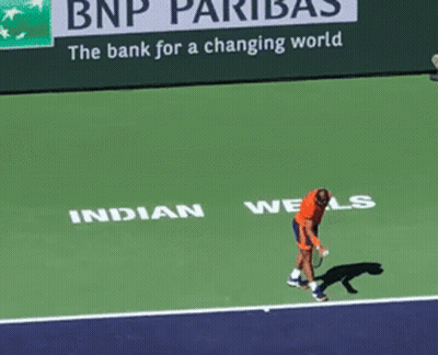 Tennis Player On Court With BNP Pariba Ad GIF