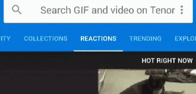 Tenor Website Search For GIF And Video GIF