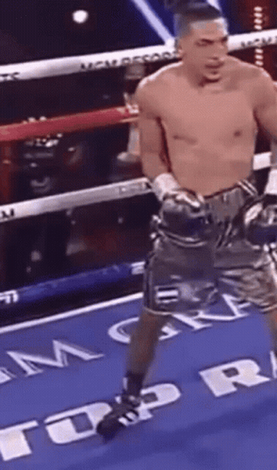 Teofimo Lopez GIF