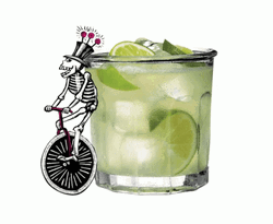 Tequila Sour Drinks GIF