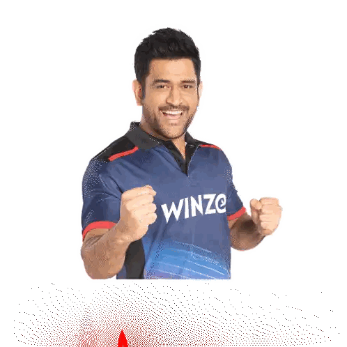 Tera Bhai Jeet Ga Sticker