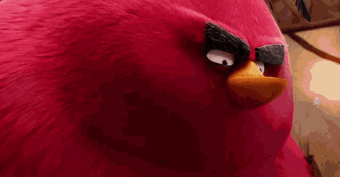 Terence Angry Birds GIF