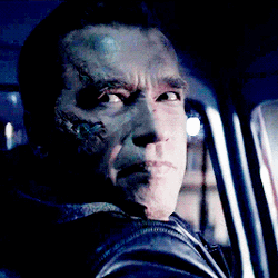 Terminator Arnold Schwarzenegger Damage Face Smile GIF