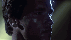 Terminator Arnold Schwarzenegger Look Around GIF